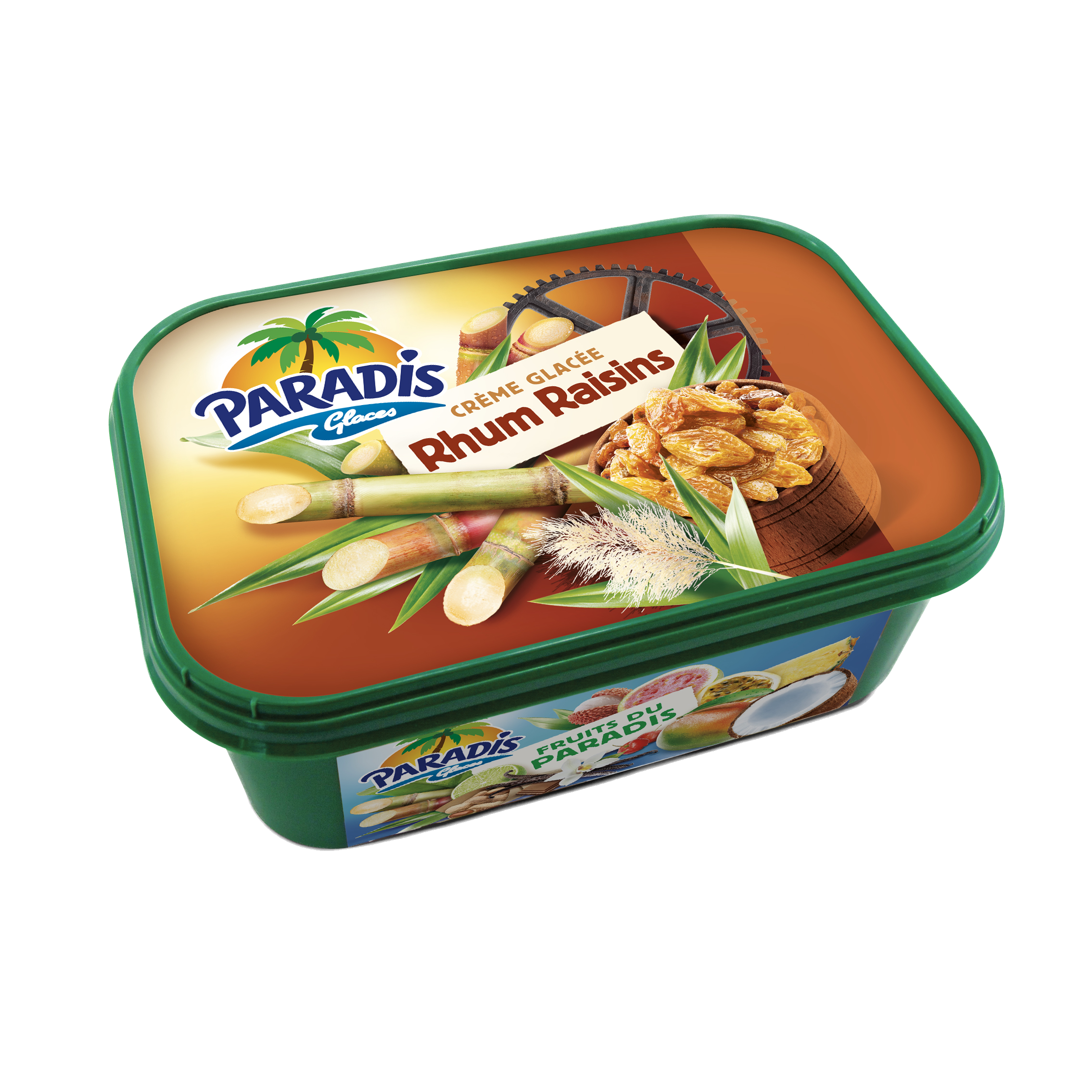 Fruits du Paradis - Glace rhums raisins Paradis Glaces Martinique - Bac de glace rhum raisins