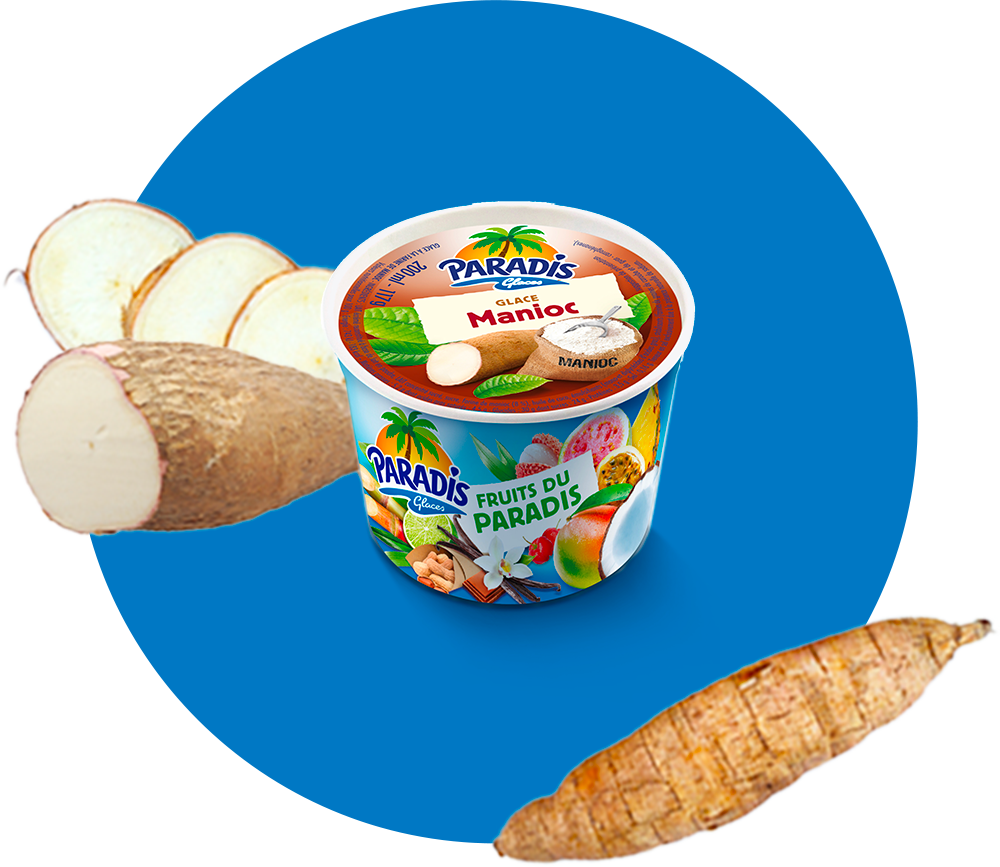 Fruits du Paradis - Pot de glace manioc Paradis Glaces Martinique