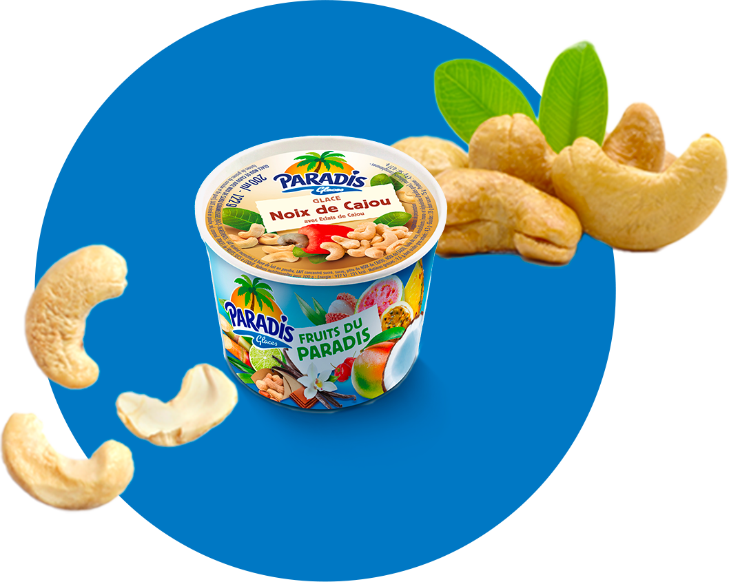 Fruits du Paradis - Pot de glace noix de cajou Paradis Glaces Martinique