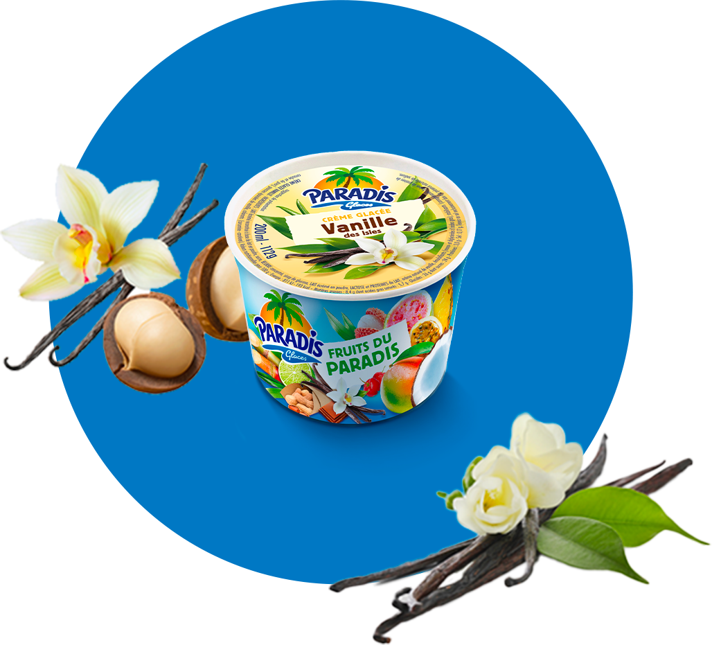 Fruits du Paradis - Pot de glace vanille Paradis Glaces Martinique